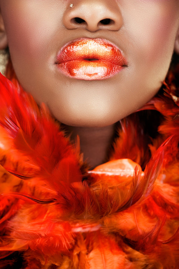 Superb Lip Gloss Collection