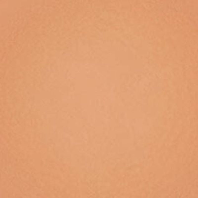 Swatch of cream foundation showing shade for even-tone coverage and radiant glow. 