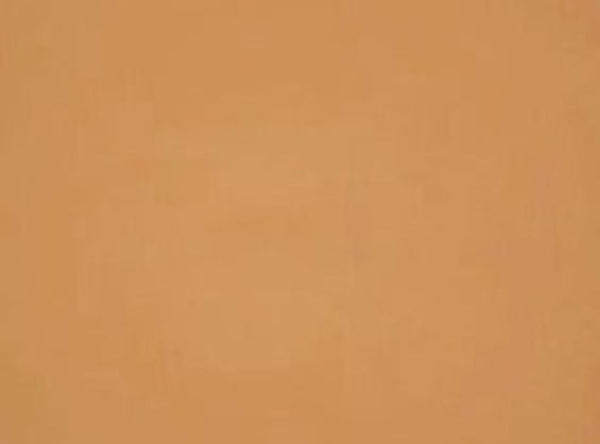 Swatch of Dark Beige powder foundation shade from the Dual Morvant compact, showing true color and matte finish. 