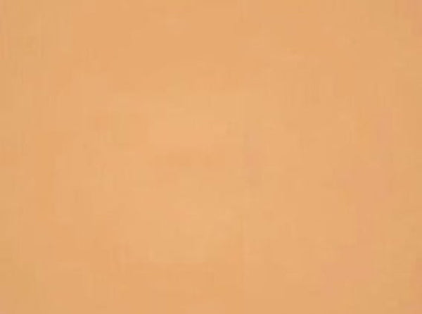 Swatch of Golden Honey powder foundation shade from the Dual Mustique compact, showing true color and matte finish. 