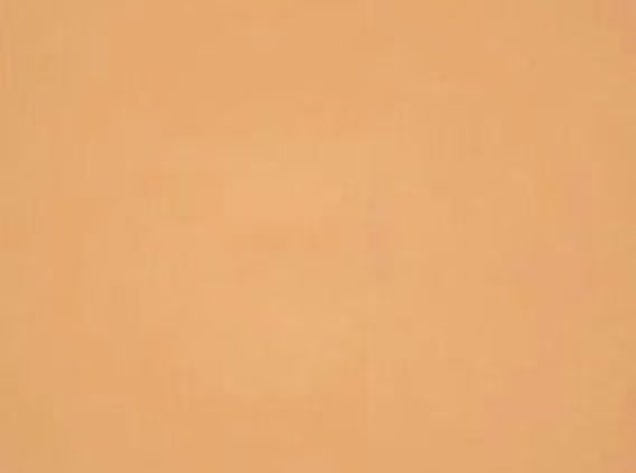 Swatch of Golden Honey powder foundation shade from the Dual Mustique compact, showing true color and matte finish. 